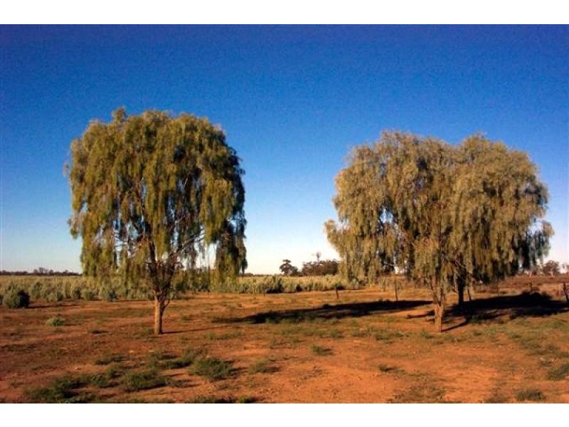 Nyngan NSW 2825