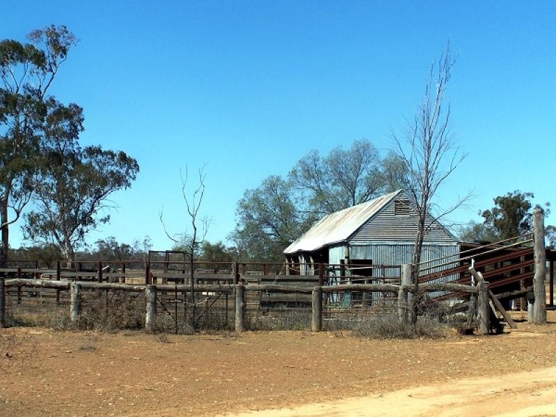 Nyngan NSW 2825