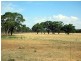 Tottenham NSW 2873
