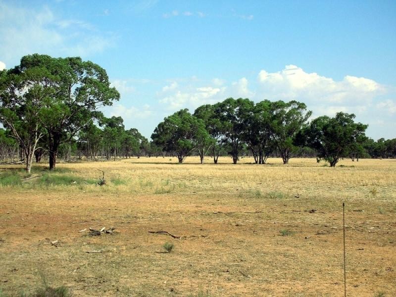 Tottenham NSW 2873
