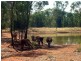 Tottenham NSW 2873