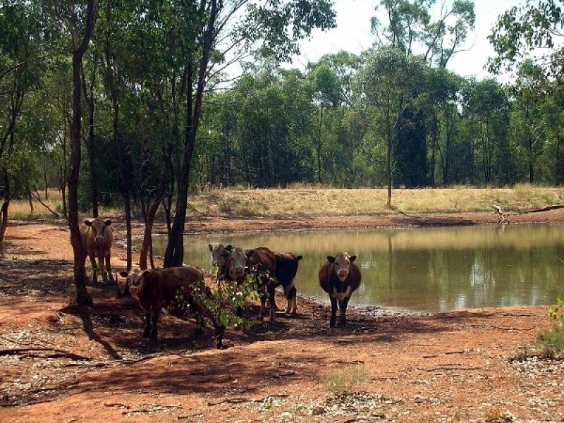 Tottenham NSW 2873