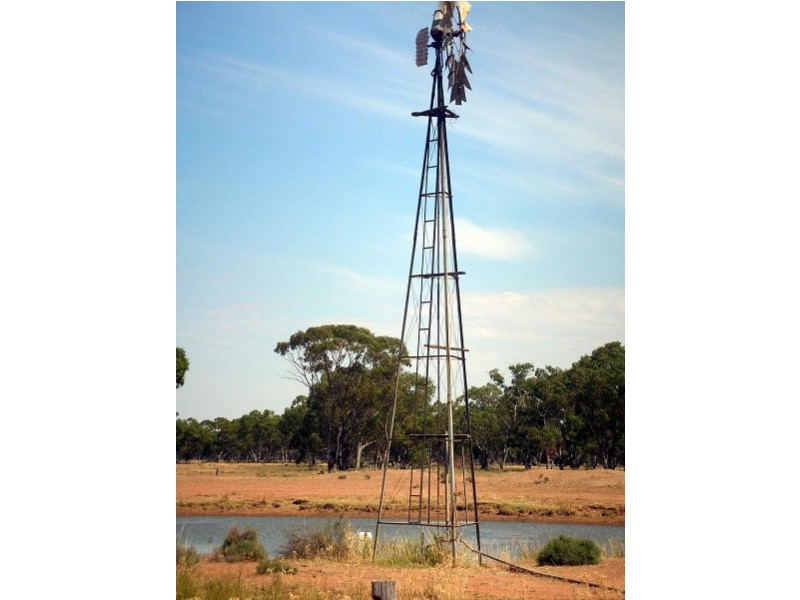 Tottenham NSW 2873