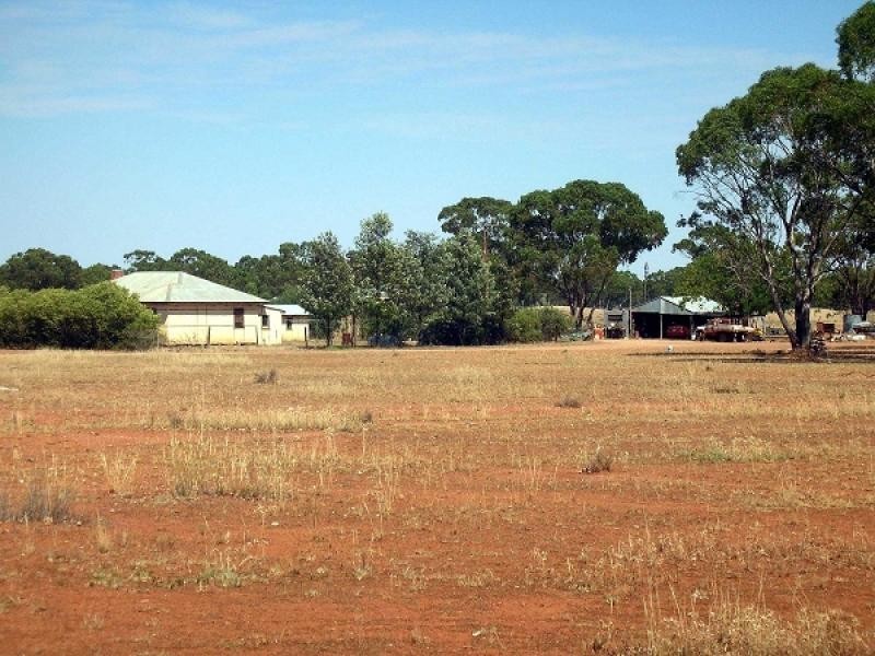 Tottenham NSW 2873