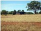 Tottenham NSW 2873
