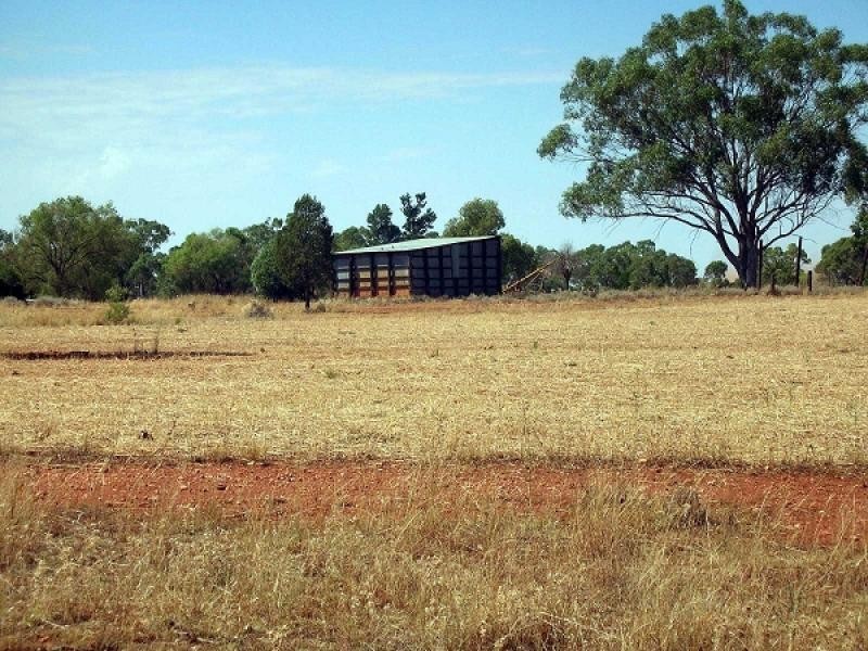Tottenham NSW 2873