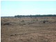 Tottenham NSW 2873
