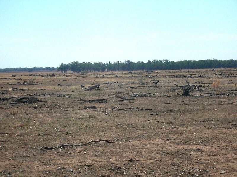 Tottenham NSW 2873