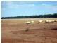 Tottenham NSW 2873