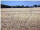 Tottenham NSW 2873