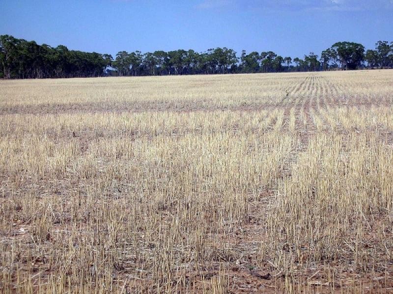 Tottenham NSW 2873