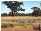 Tottenham NSW 2873