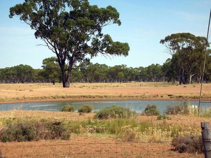 Tottenham NSW 2873