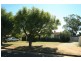 144 Bogan Street, Nyngan NSW 2825