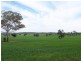 Girilambone NSW 2831