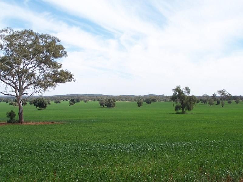 Girilambone NSW 2831