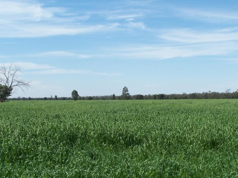 Girilambone NSW 2831