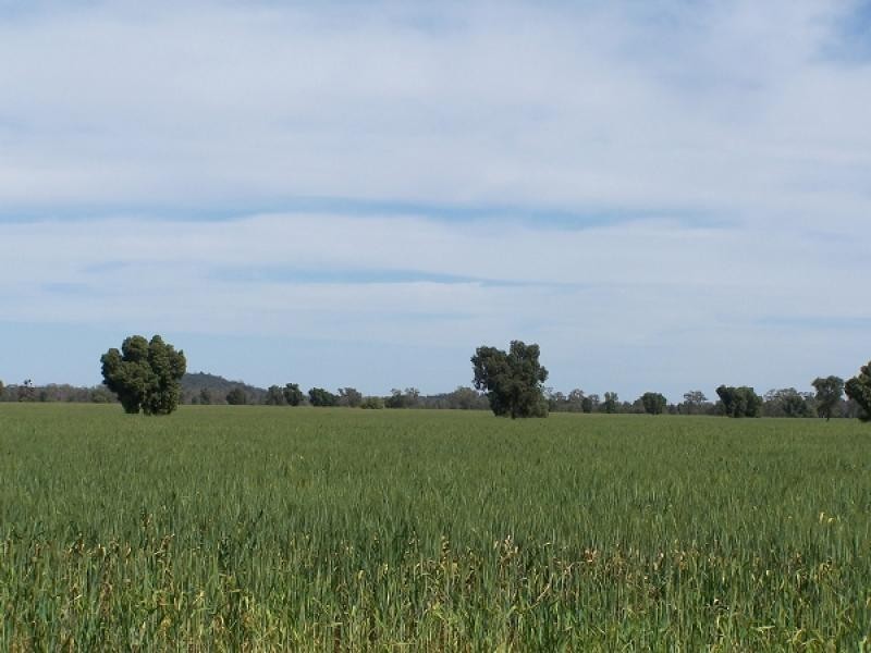 Girilambone NSW 2831