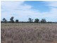 Girilambone NSW 2831