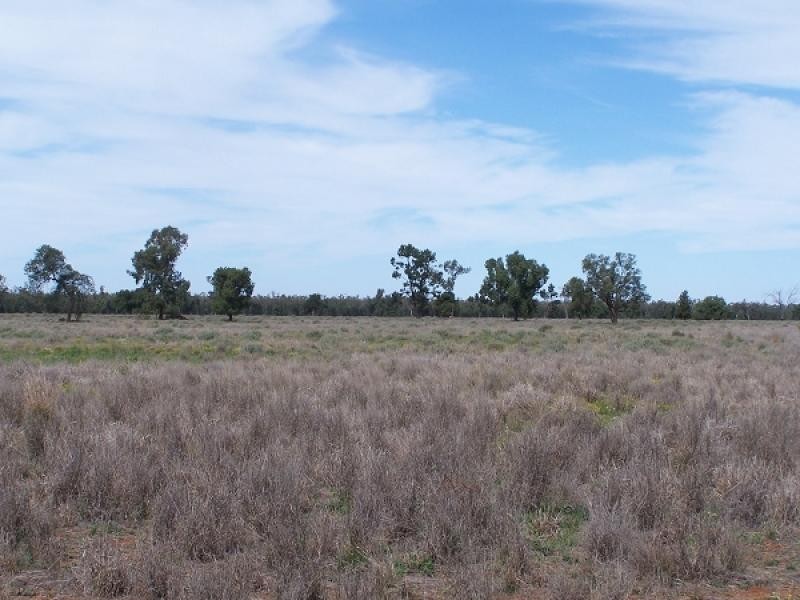 Girilambone NSW 2831