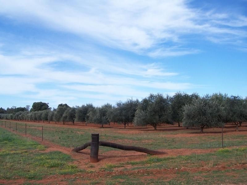Girilambone NSW 2831
