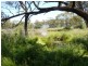 Hermidale NSW 2831