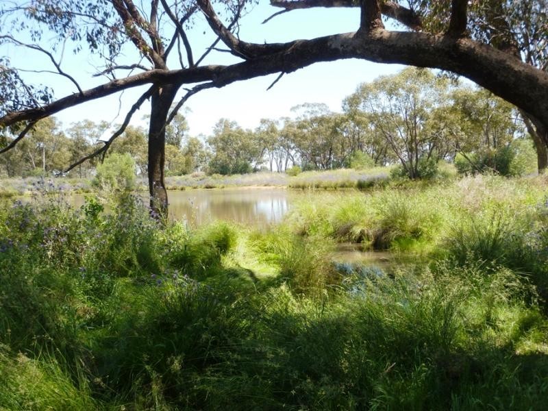 Hermidale NSW 2831