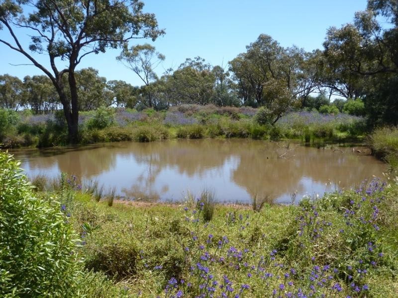 Hermidale NSW 2831