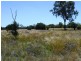 Hermidale NSW 2831