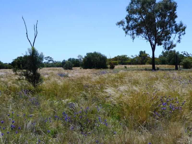 Hermidale NSW 2831
