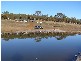 126 WHEEO ROAD, Grabben Gullen NSW 2583