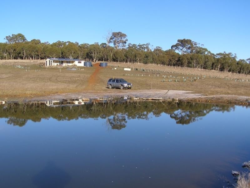 126 WHEEO ROAD, Grabben Gullen NSW 2583