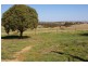 Lot 237 Mount Baw Baw Road, Goulburn NSW 2580
