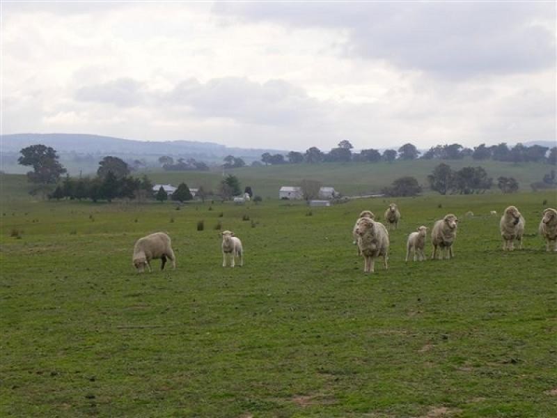 271 Woodville Road, Binda NSW 2583