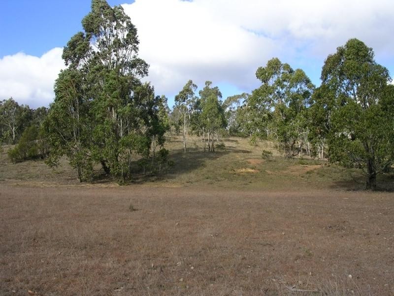 161 Benduck road Bungonia, Goulburn NSW 2580