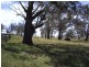 Roslyn NSW 2580