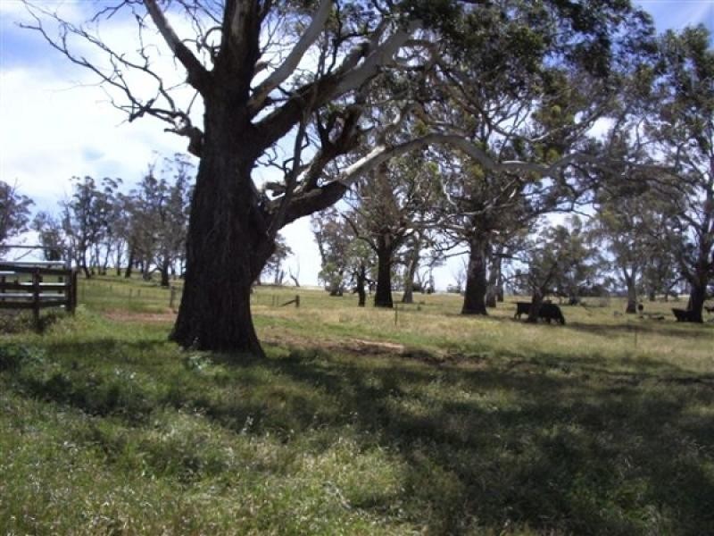 Roslyn NSW 2580