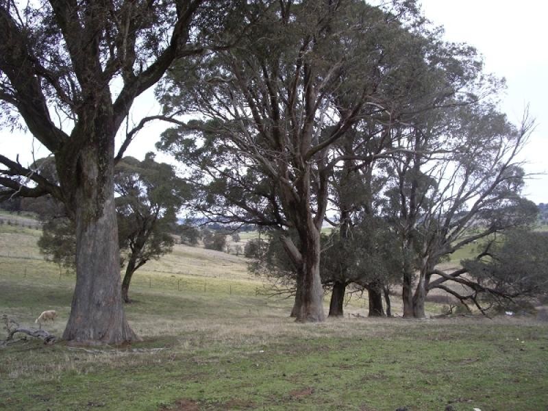 Lot 40 BARRY PLACE, Crookwell NSW 2583