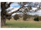 1160 Greenmantle Rd, Crookwell NSW 2583