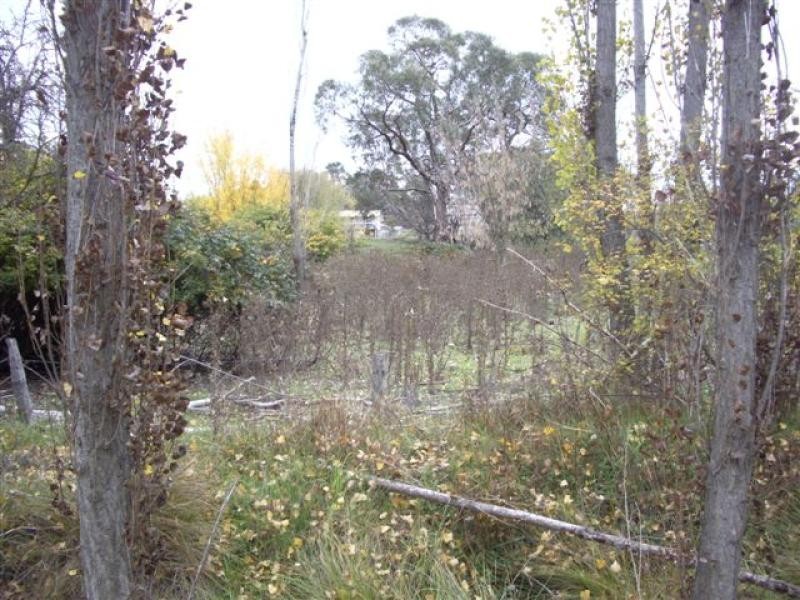 Lot 5 & 6/ Binda Street, Bigga NSW 2583