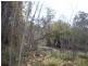 Lot 5 & 6/ Binda Street, Bigga NSW 2583