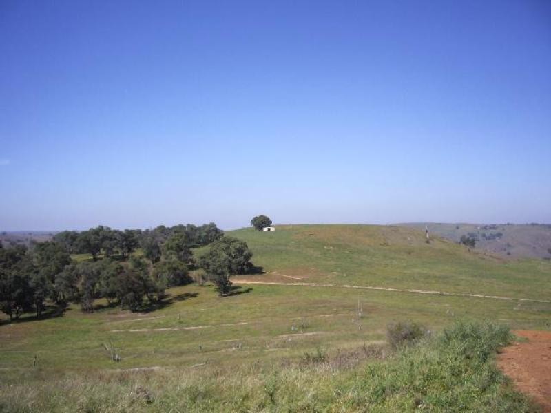 Golspie NSW 2580
