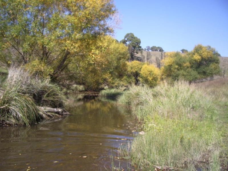 Golspie NSW 2580