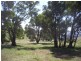 Golspie NSW 2580
