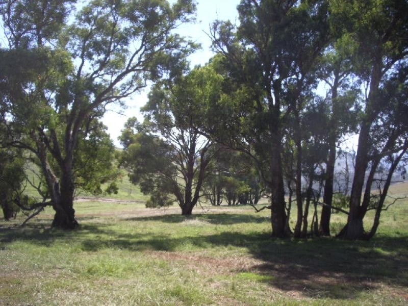 Golspie NSW 2580