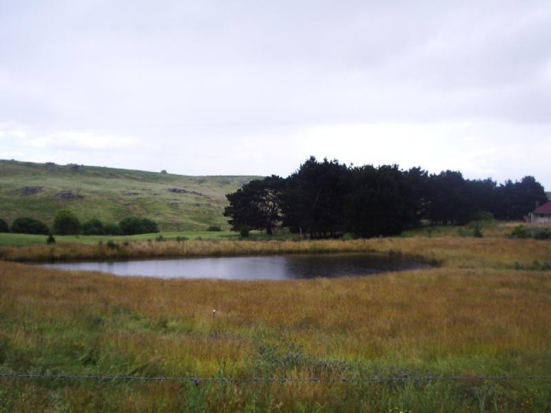 Laggan NSW 2583