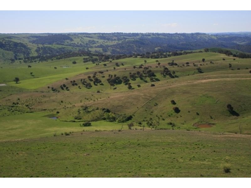 832 Levels Road, Golspie NSW 2580