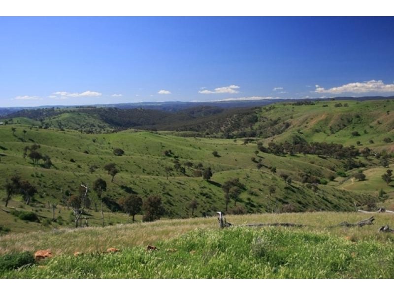 832 Levels Road, Golspie NSW 2580