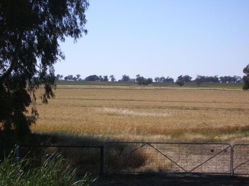 Narrandera NSW 2700