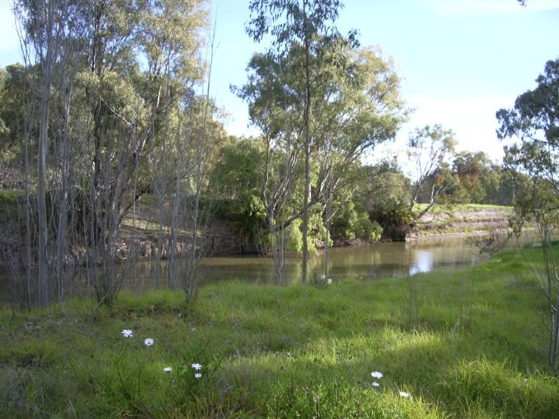 69 Melbourne Street, Narrandera NSW 2700